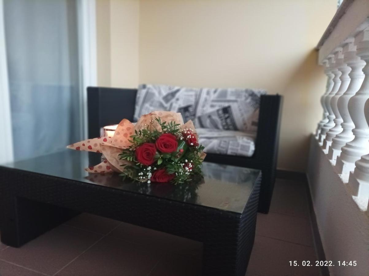 Palma Guesthouse Palit エクステリア 写真