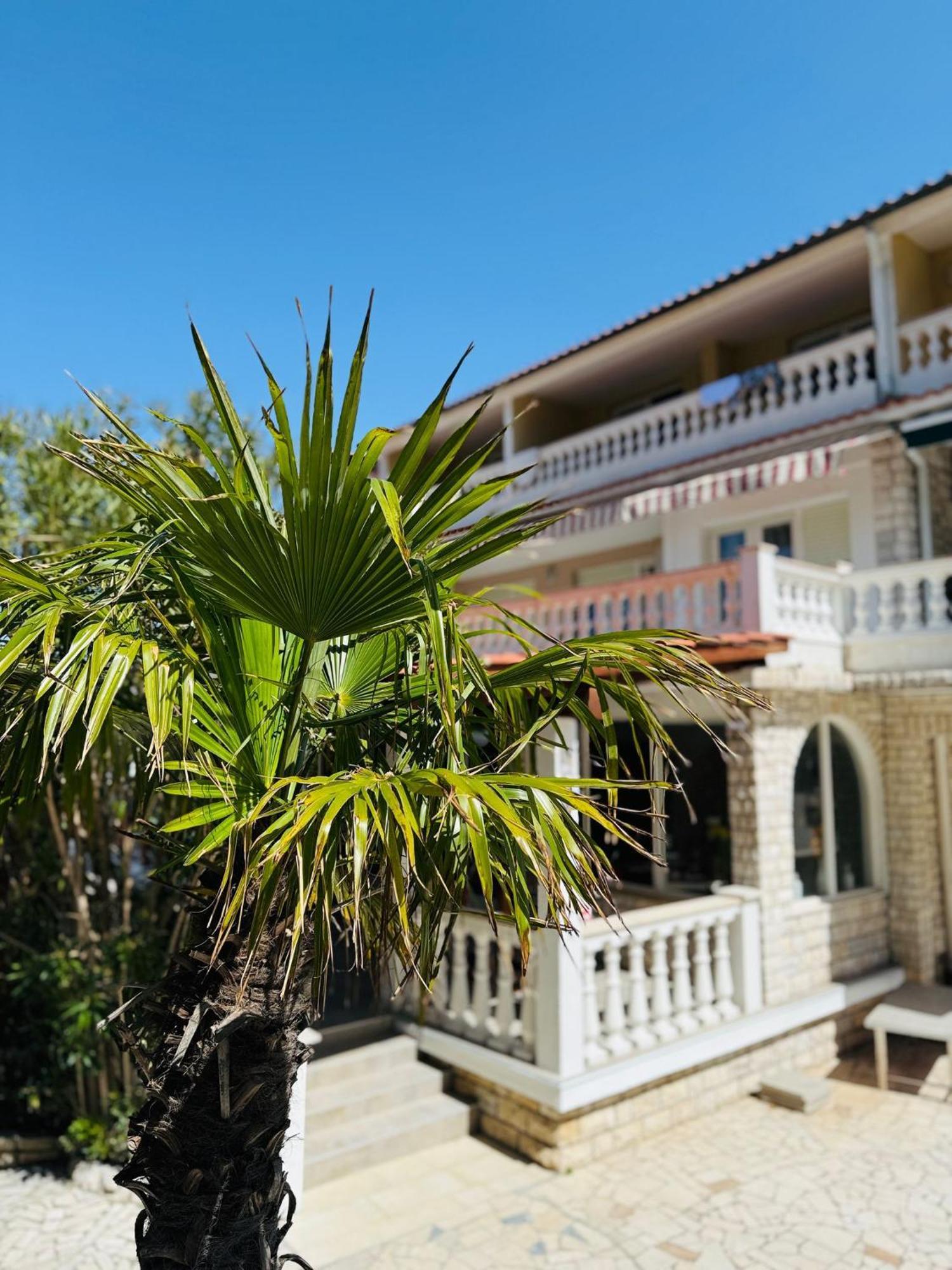 Palma Guesthouse Palit エクステリア 写真